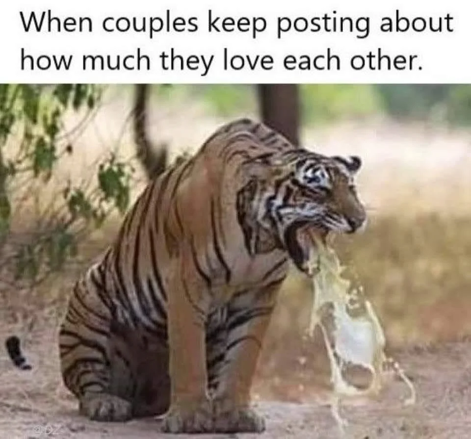 couples.webp