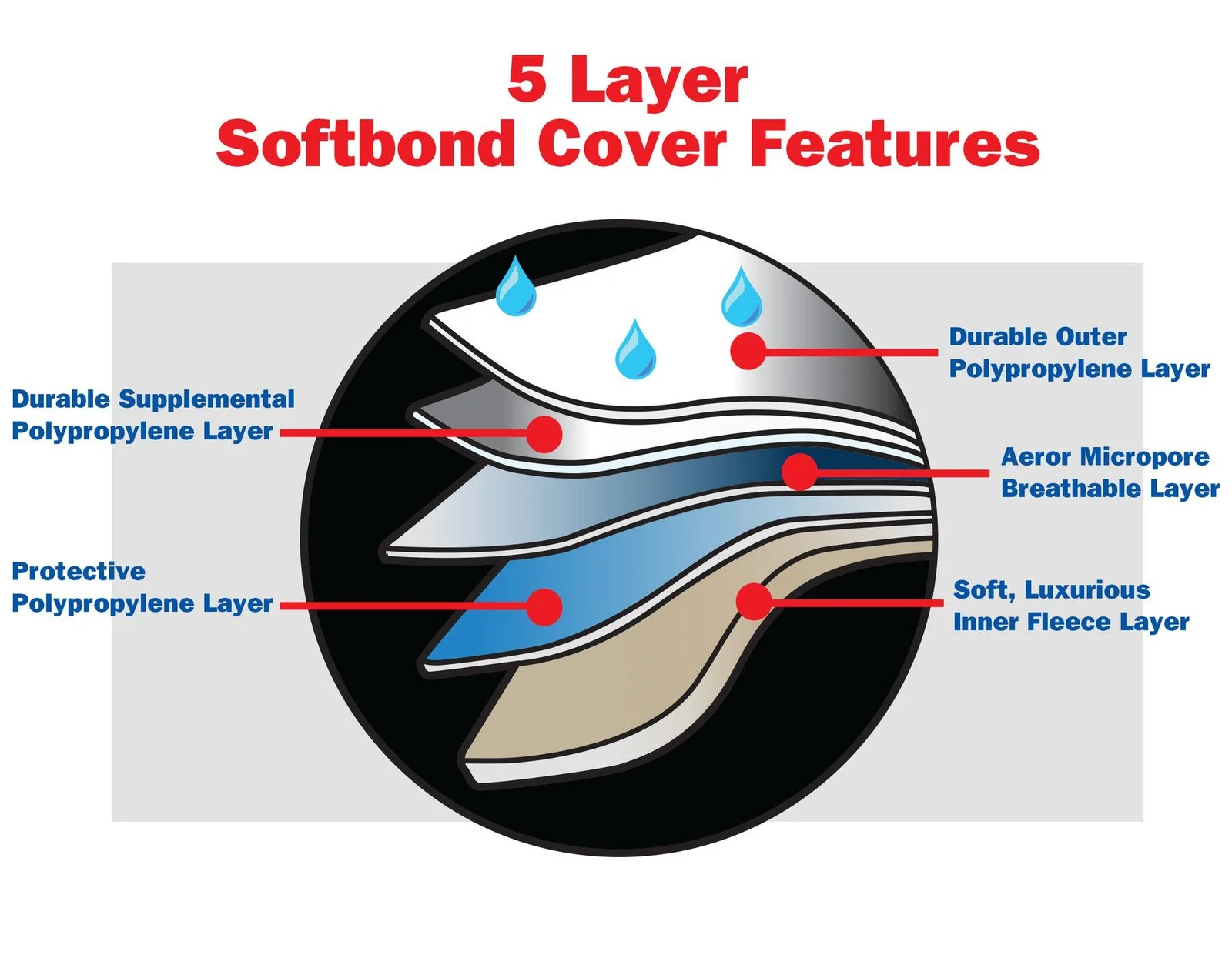 Cover-graphic-5-Layer.webp