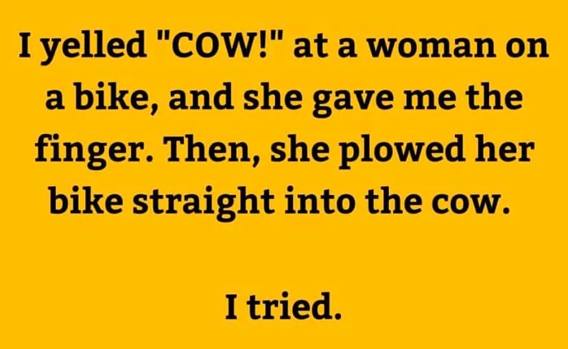 cow.webp