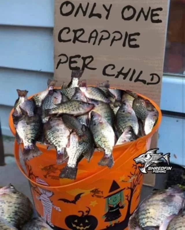 Crappie.webp