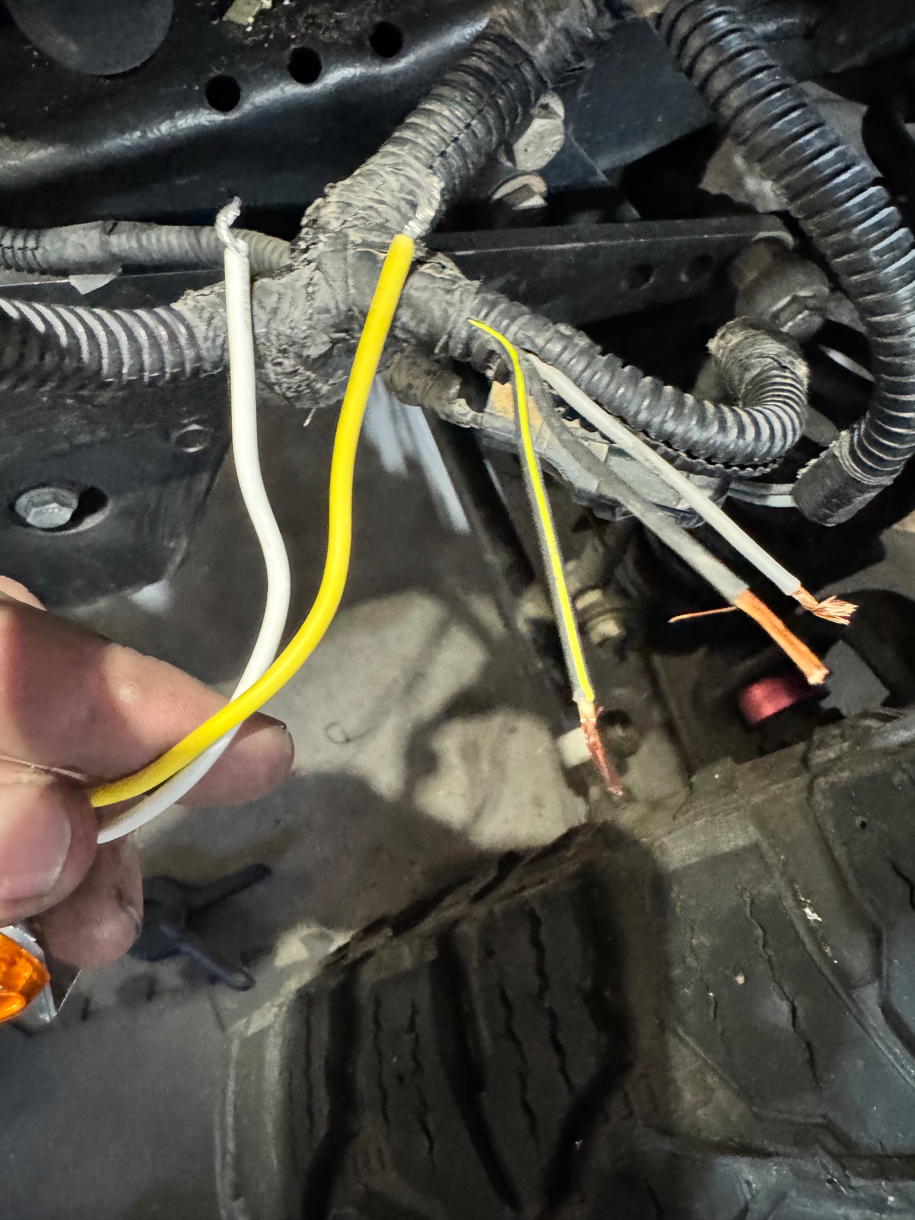 Cut wiring harness is 3 lights to left.jpg