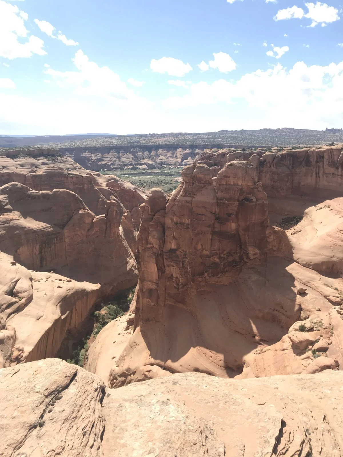 D224D7DC-1076-425A-B26D-ED4FD8191E21.webp