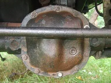 Dana 30.webp