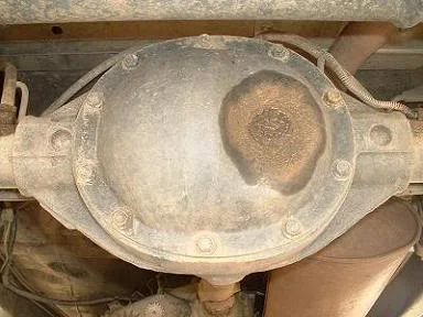 Dana 35.webp