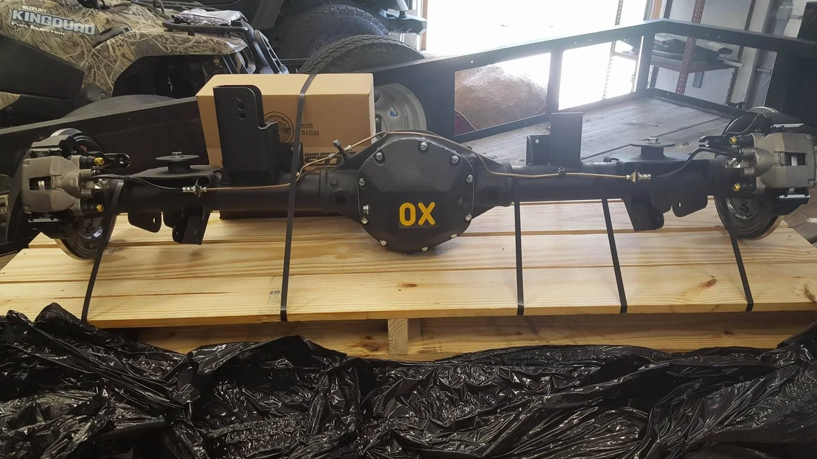 Dana 489.webp