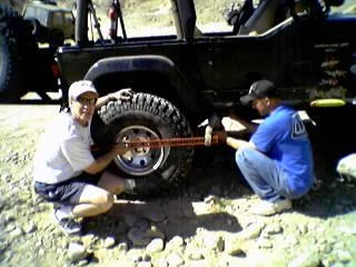 Dana35cOnTrailBeingRescued.webp