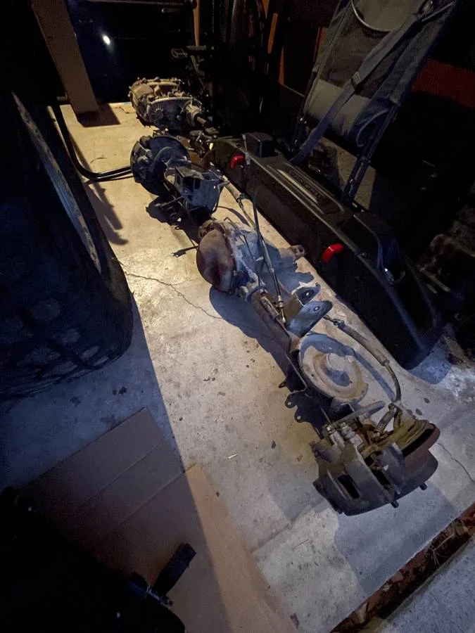 dana44.webp