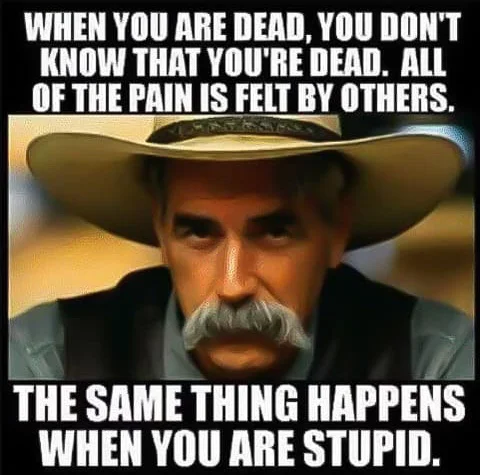 dead stupid.webp