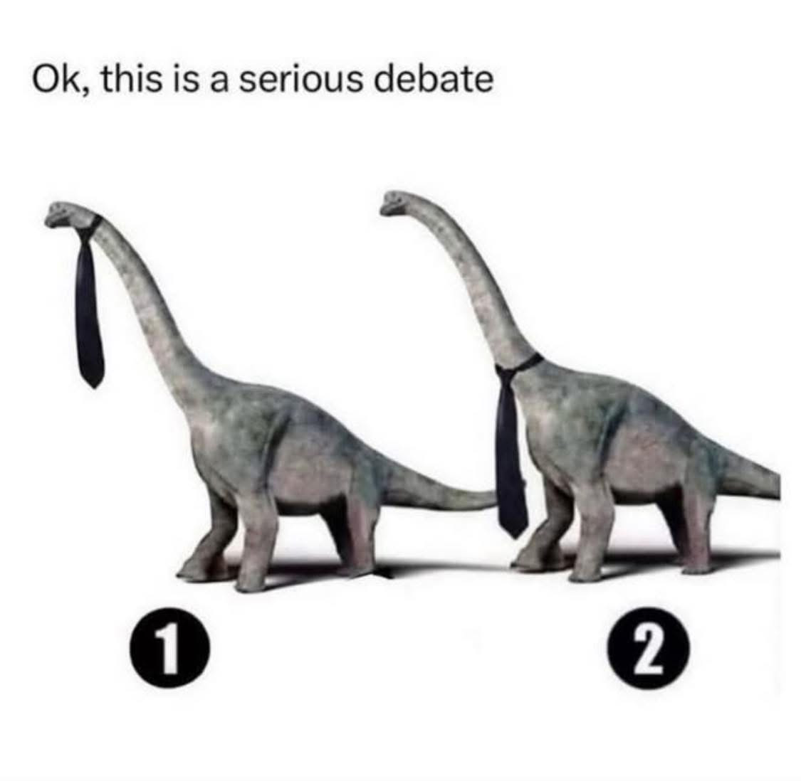 Debate.webp