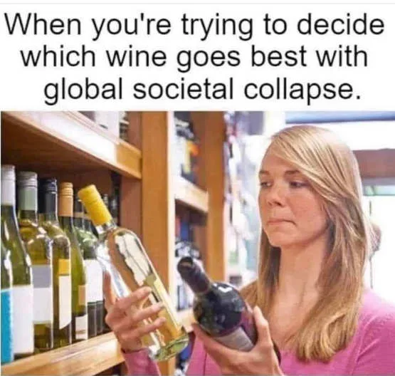 decide which wine goes with societal collapse