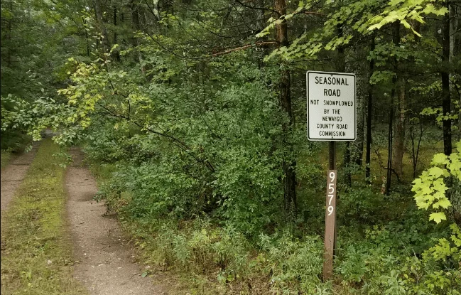 deep-woods-road.webp
