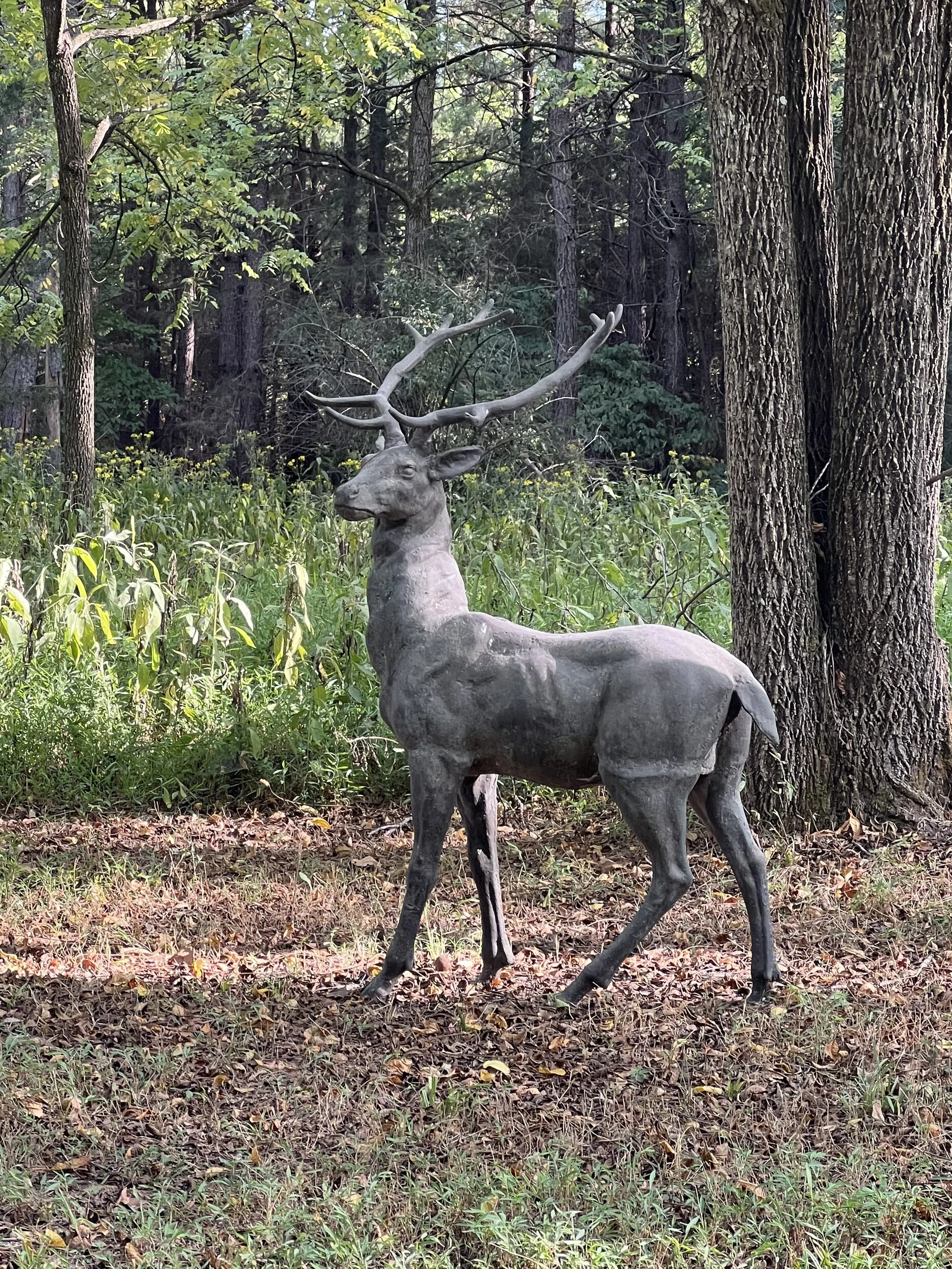 deer stiff.jpg
