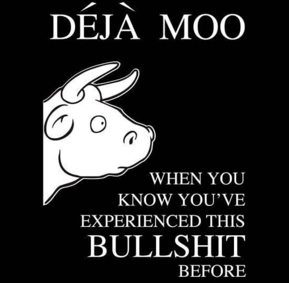 deja moo.webp