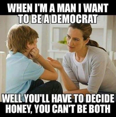 democrat.webp