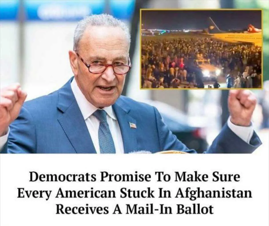 democrats-chuck-schumer-mail-in-ballots.webp