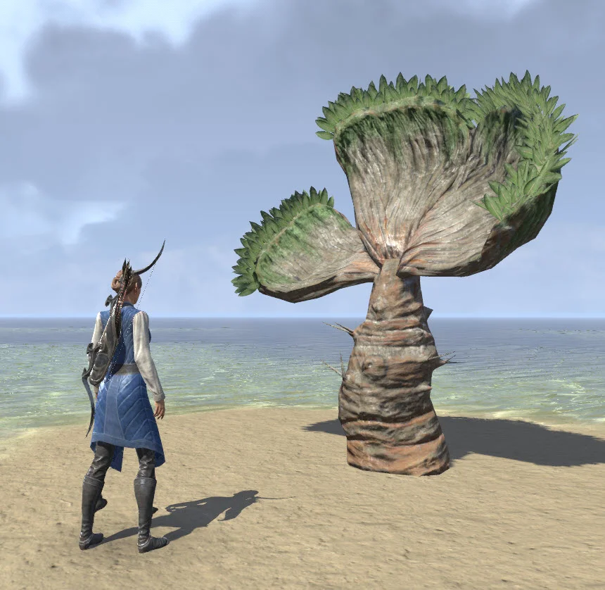 Desert fan.webp