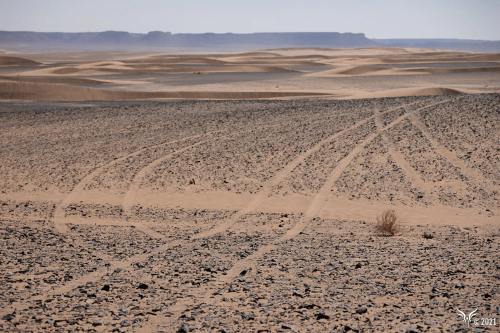 desert_02.jpg