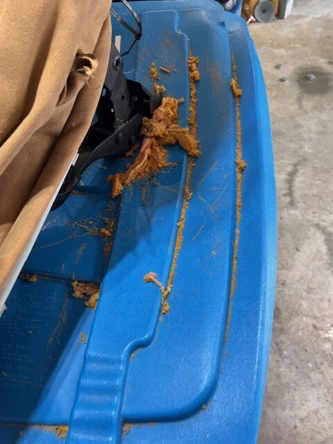 Detritus.jpg