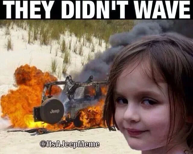 didn't wave.webp