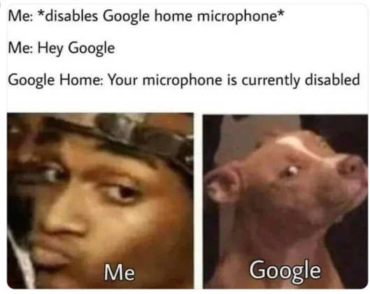 disable microphone google home
