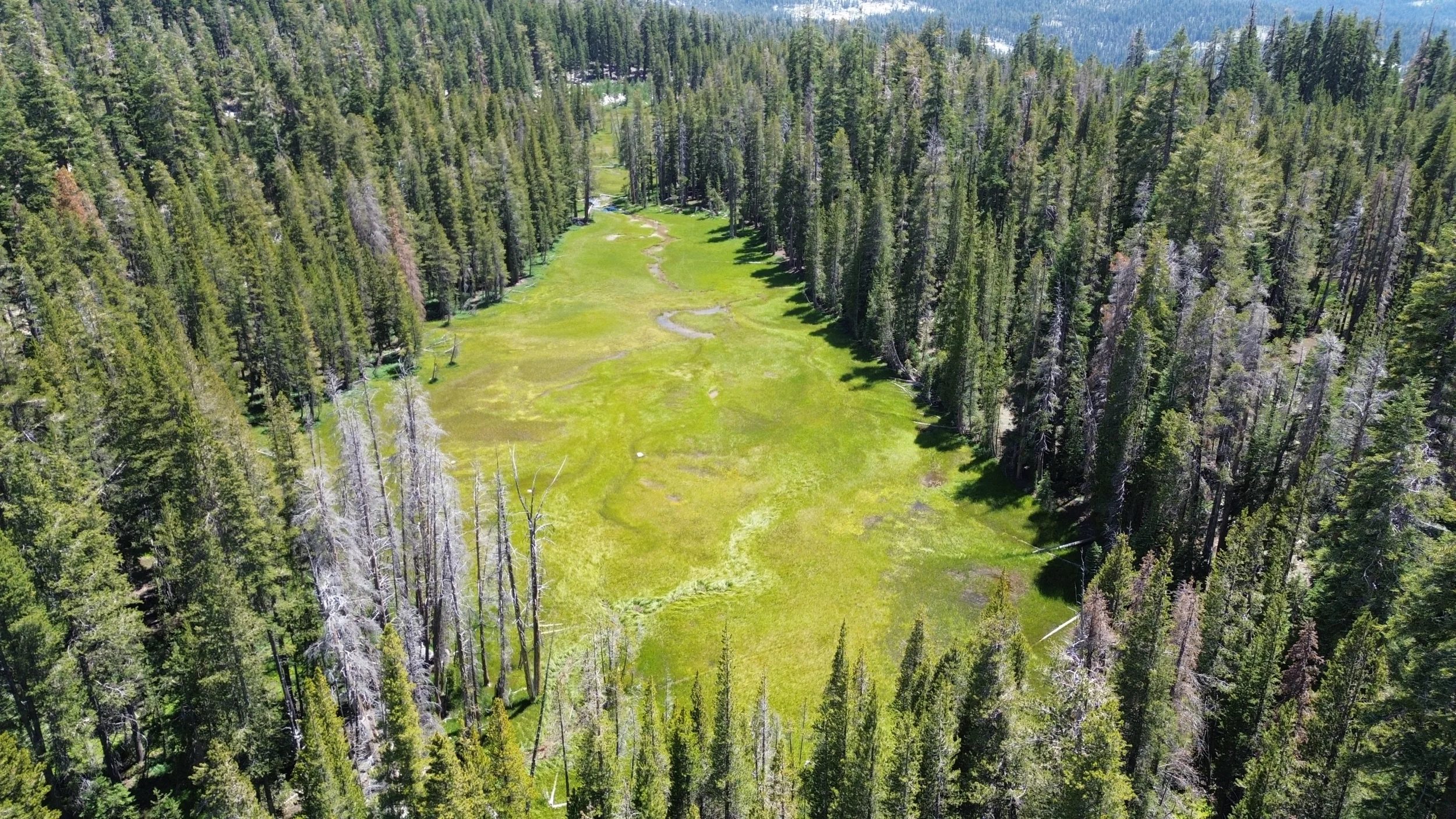 DJI_0019.webp
