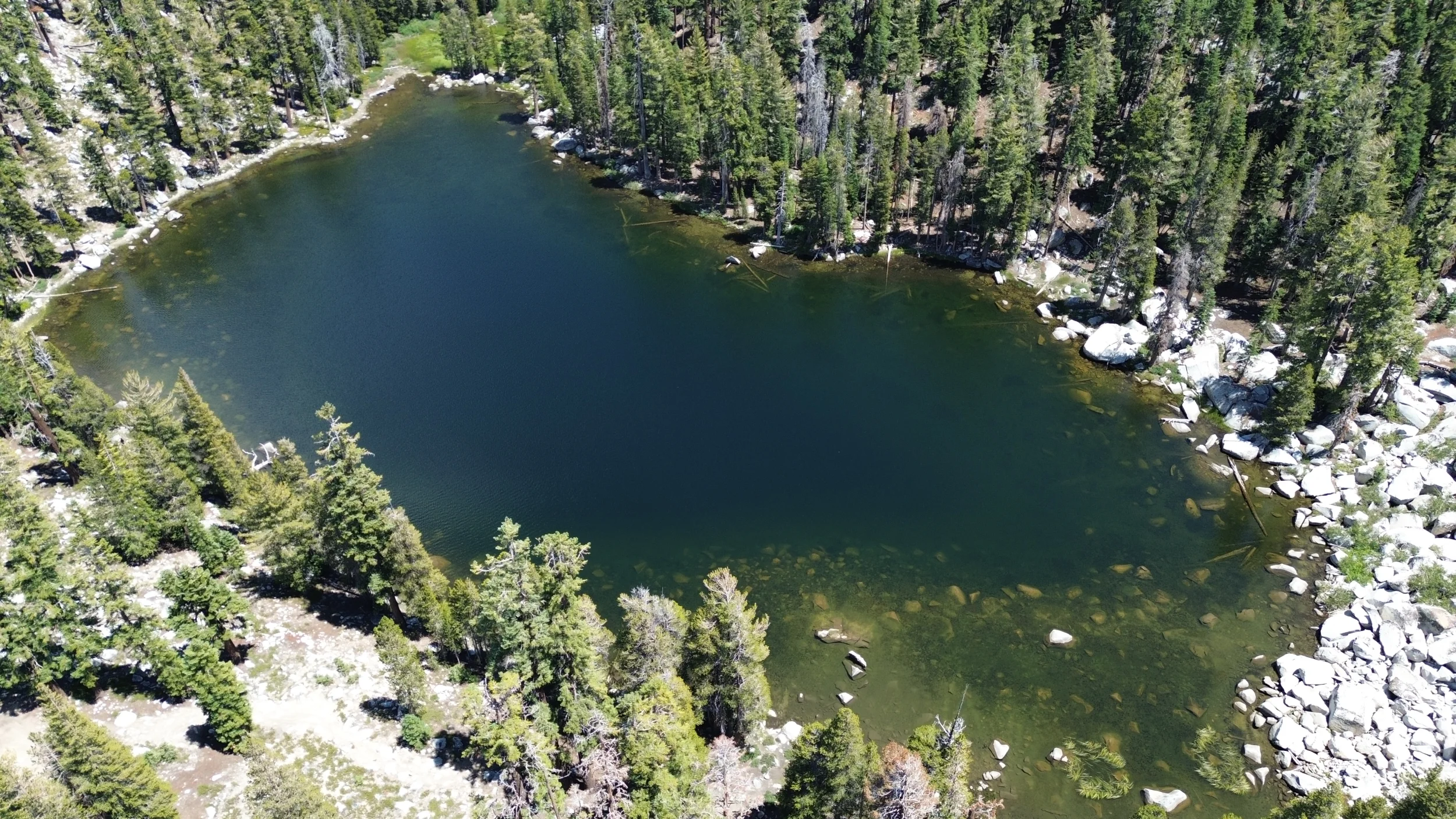 DJI_0020.webp