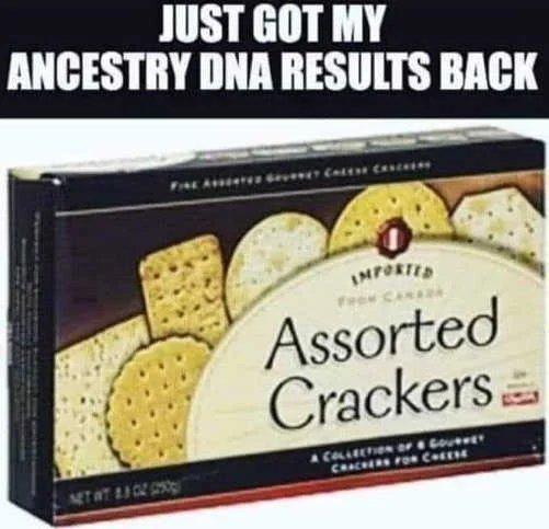 DNA-crackers.webp
