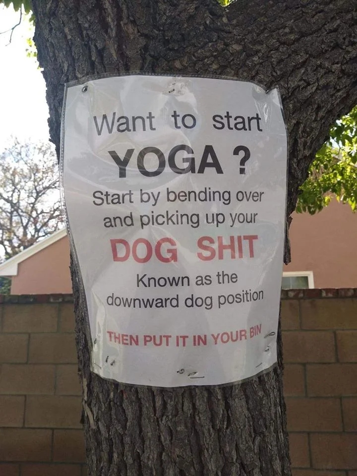 dog shit.webp
