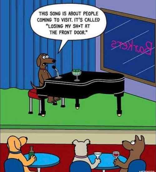 dog-singing-losing-sht-front-door-visitor-bar.jpg