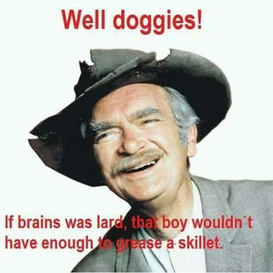 doggies.webp