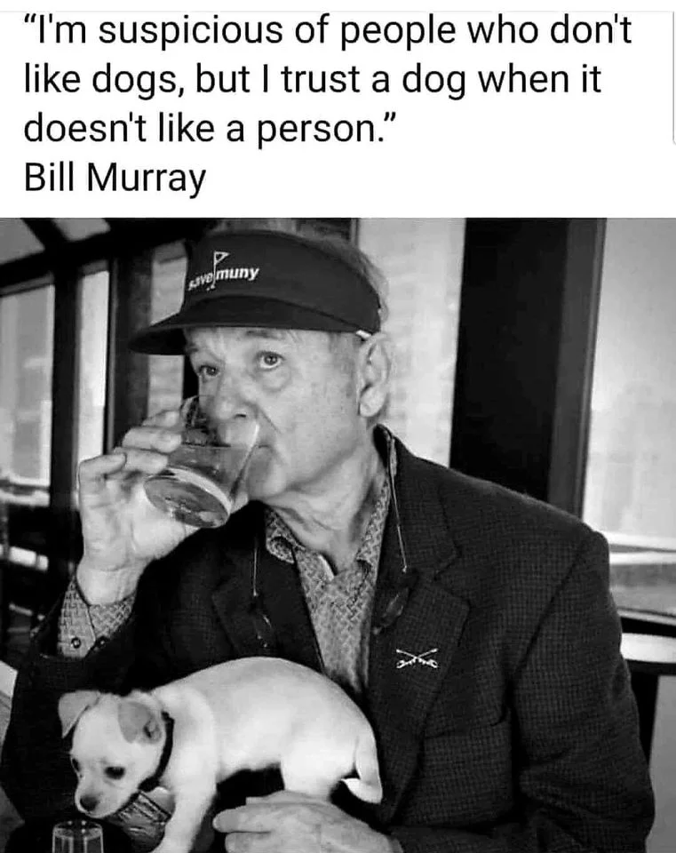 dogs-murray.webp