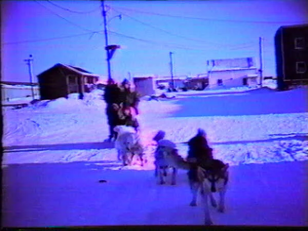 Dogsled.webp