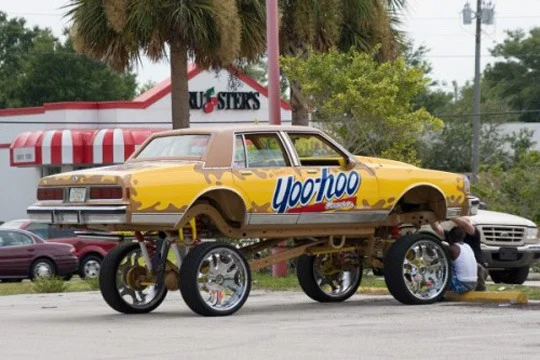 donk_yellow.webp