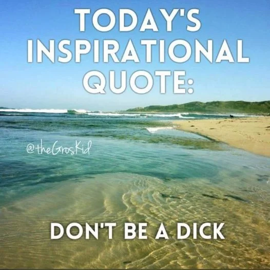 dont be a dick.webp