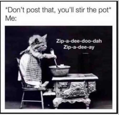 dont-post-youlll-stir-the-pot-zip-a-dee-cat.jpg
