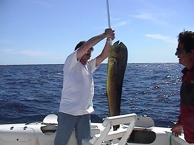 Dorado.webp