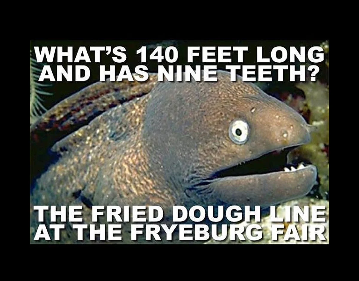 dough.webp