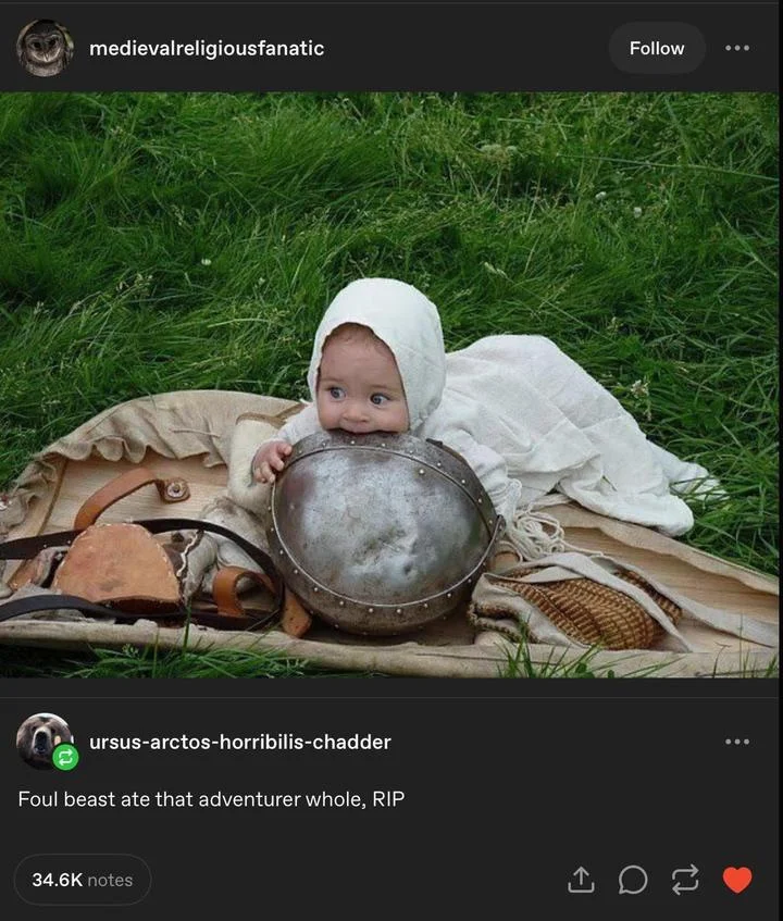 dq4bz9m.webp
