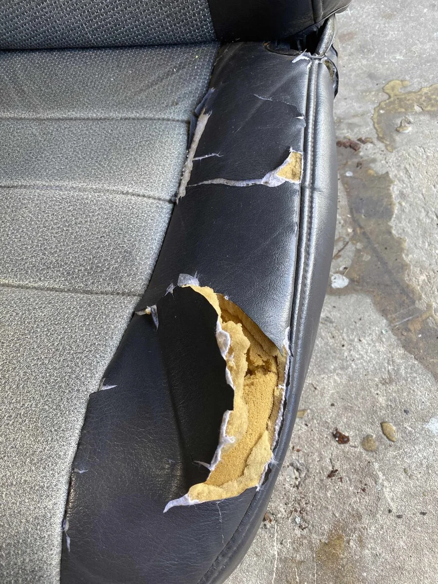 Driver's Side Seat.webp