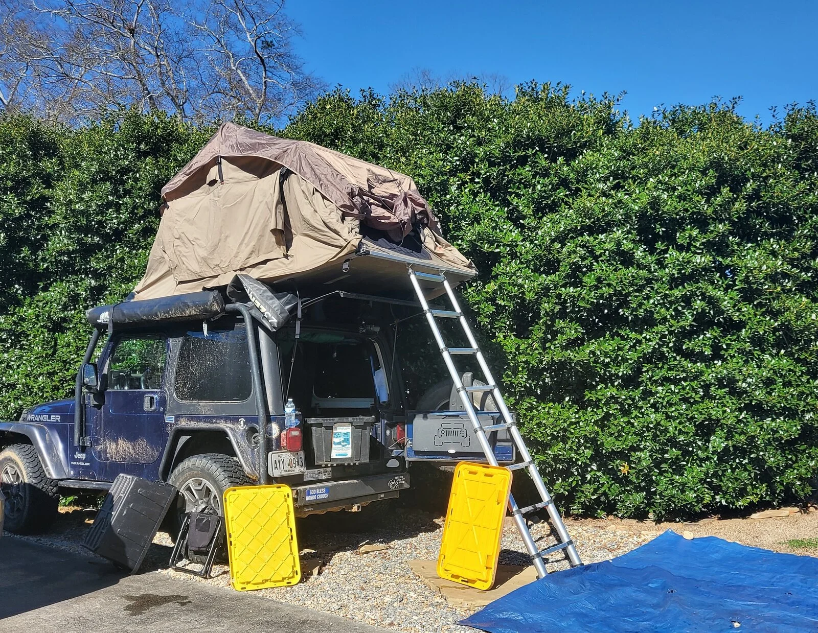 drying out.webp
