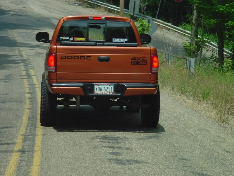 DSC01577.webp
