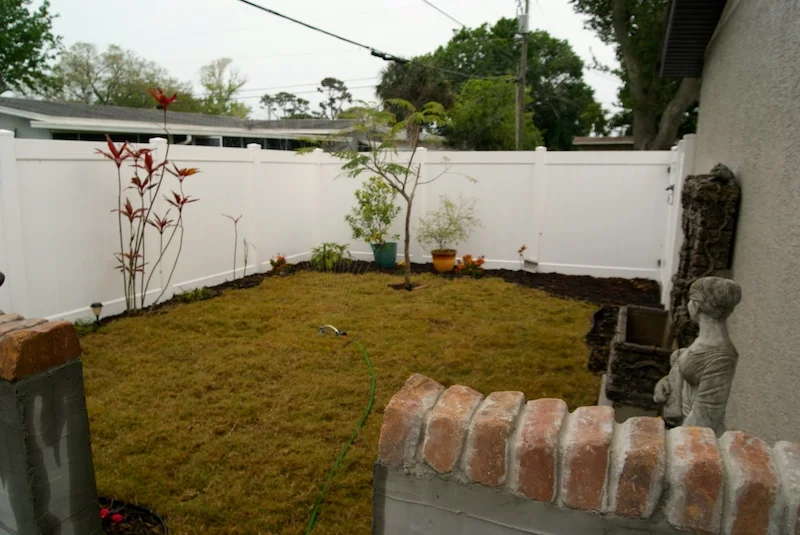 DSC02882.webp