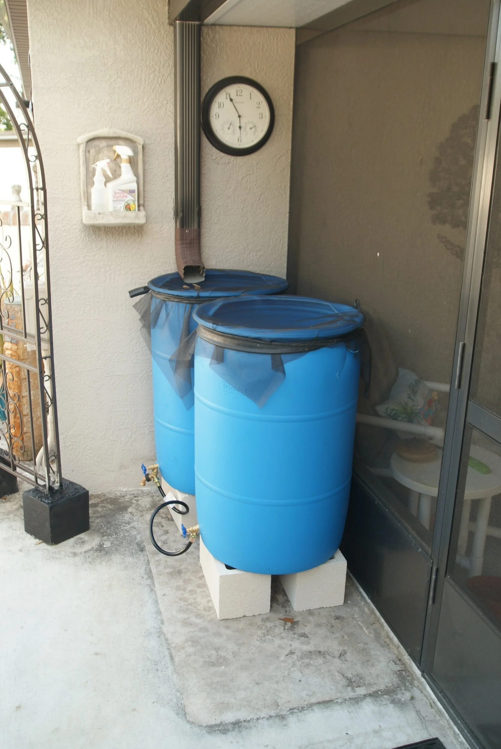 DSC02960.webp