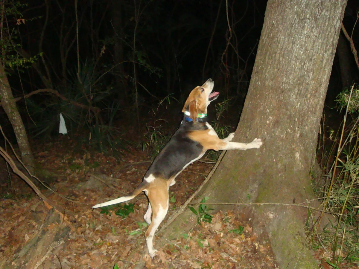 DSC03451.webp