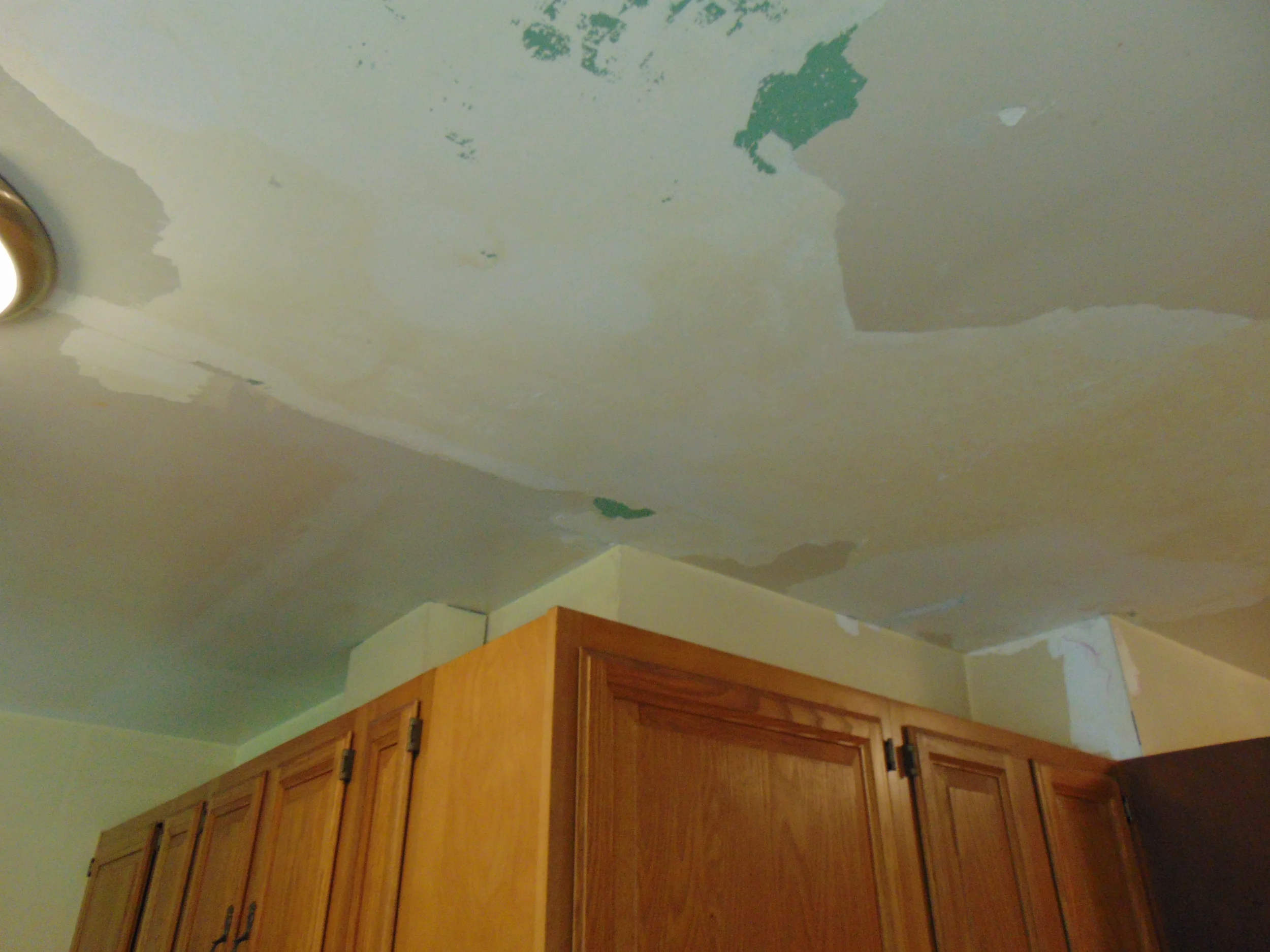 DSC03512.webp