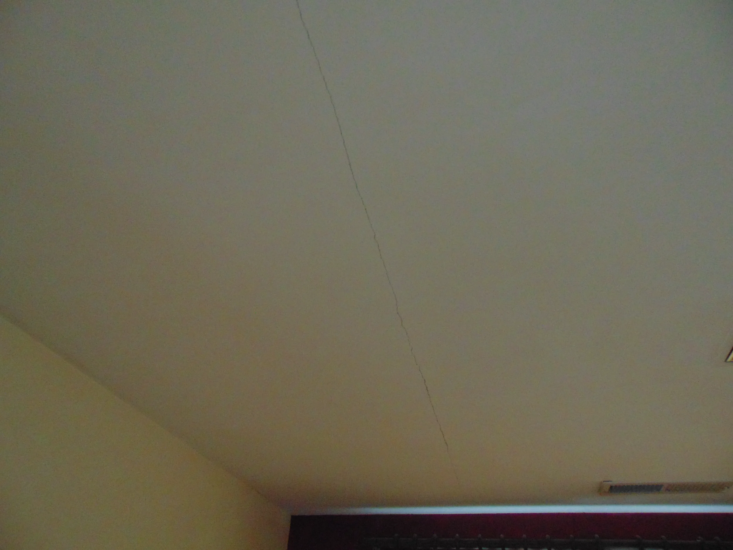 DSC03514.webp
