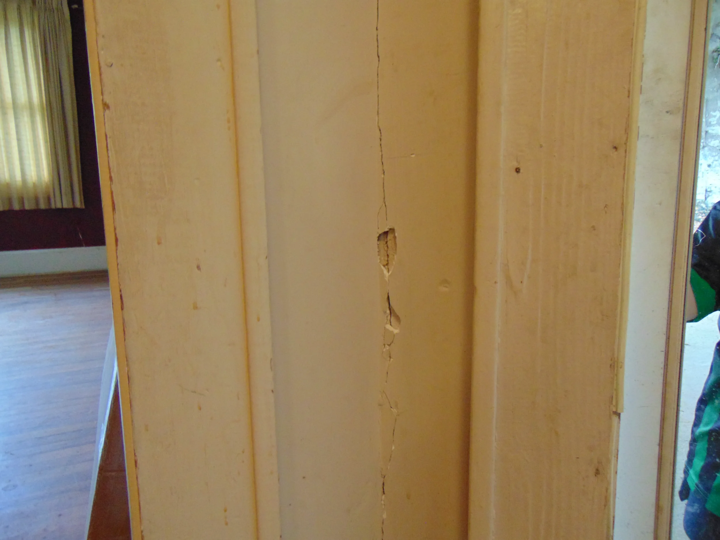 DSC03515.webp