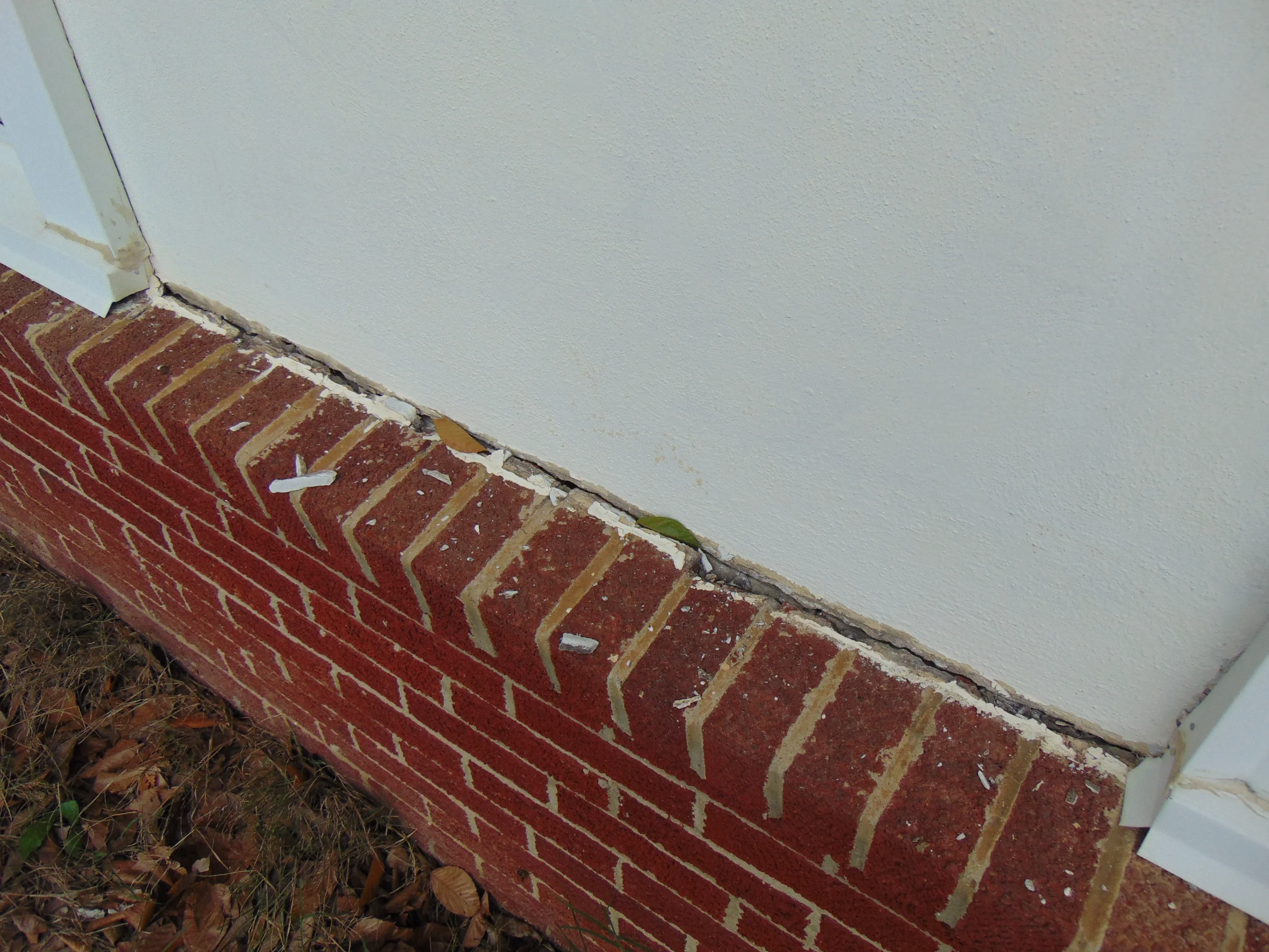 DSC03517.webp