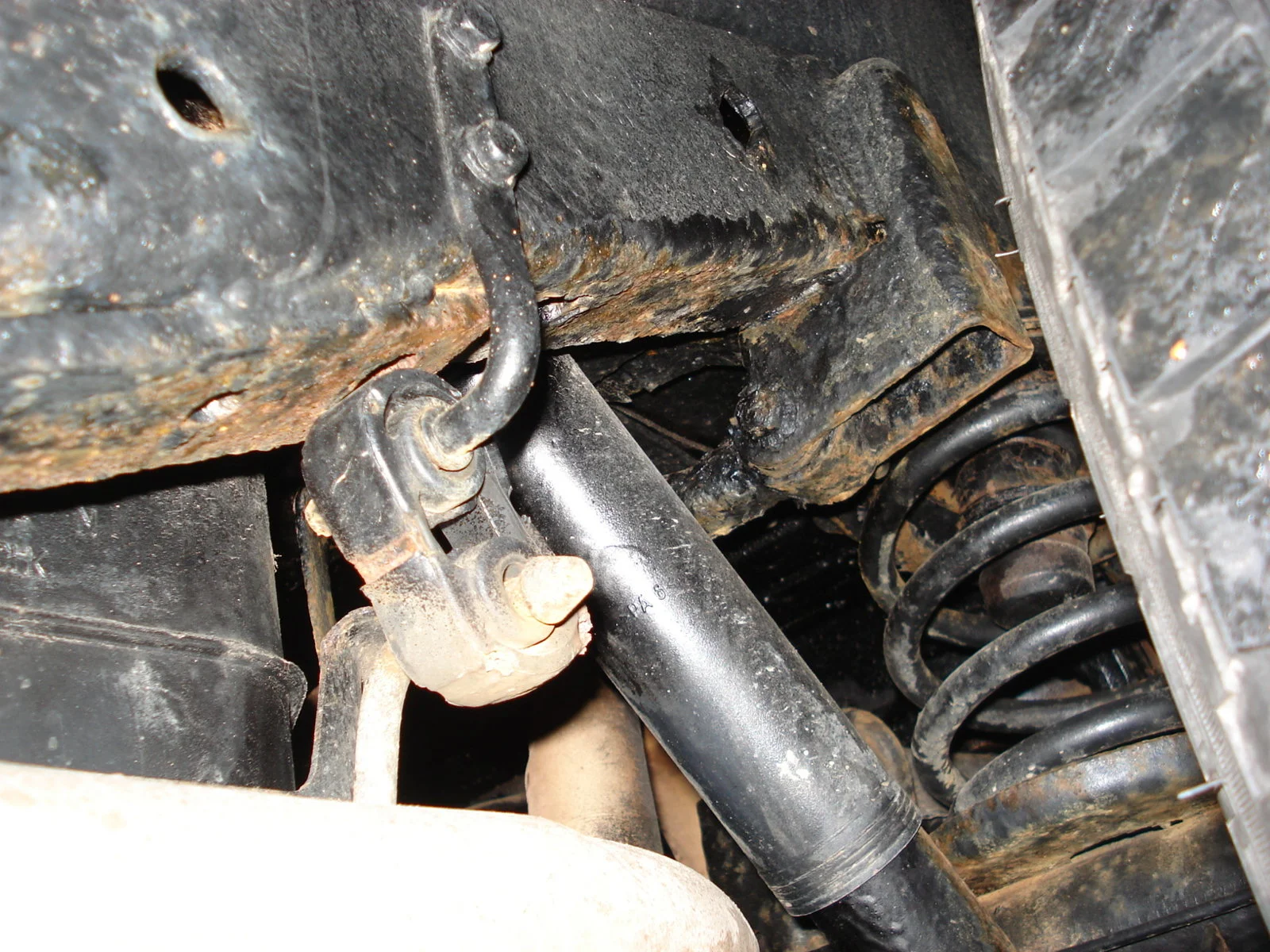 DSC03834.webp