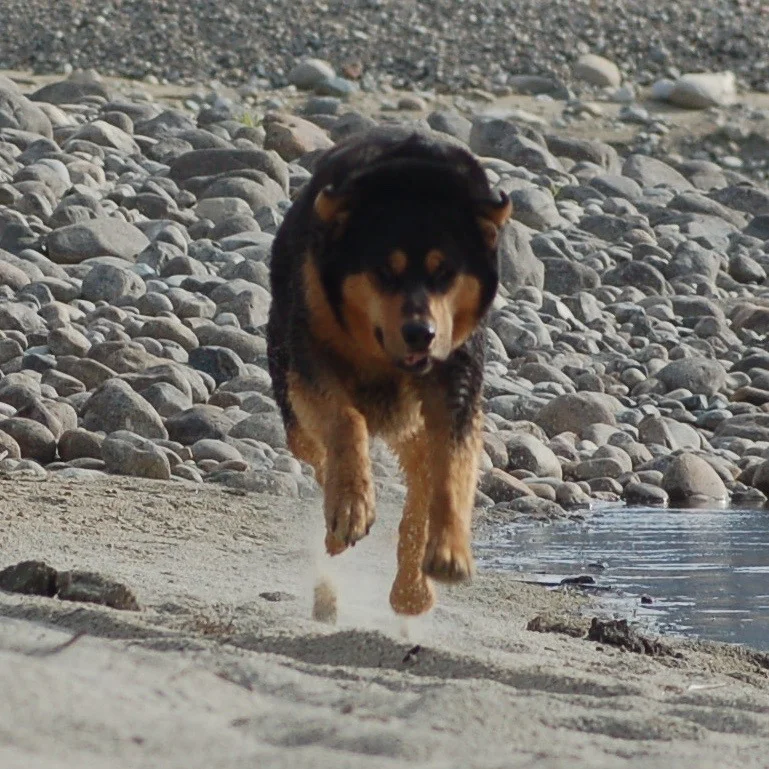 DSC_0007.webp